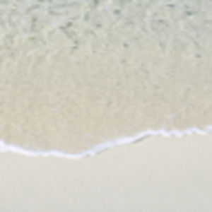 Meet your Posher, Araika